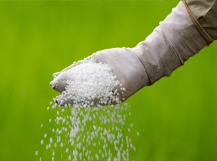 Pesticide industry research report: Food security has been valued by all countries, and the global demand for pesticides is expected to increase