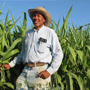 Qingsen International-Fungicide,Herbicide, Pesticides ,Pesticides